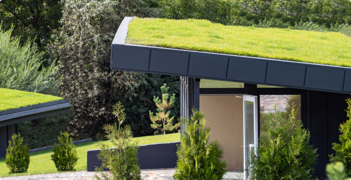 Living Roofs with Vegetation